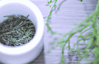 Ingredients to Look for in Anti-Aging Products