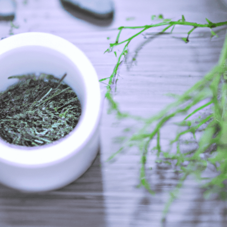 Ingredients to Look for in Anti-Aging Products