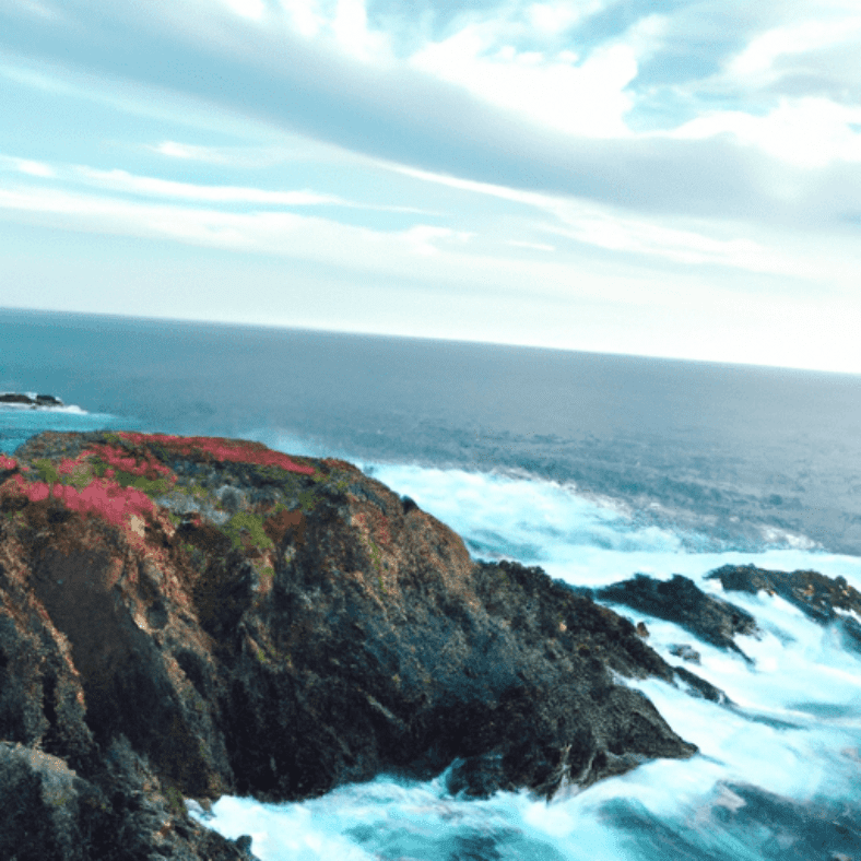 A Stress-Free Year: Strategies to Find Inner Peace