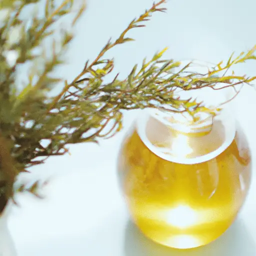 Understanding the Benefits of Tea Tree Oil in Skincare