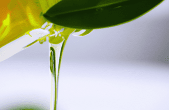 Understanding the Benefits of Tea Tree Oil in Skincare