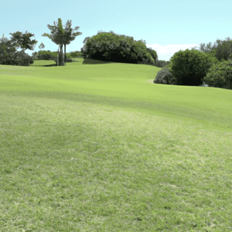 Early Prevention and Detection of Skin Cancer