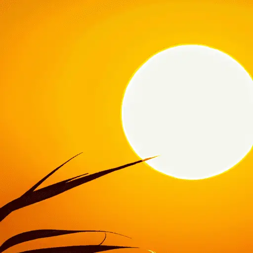 The Sun Exposure Myth: Clarifying Safe Sun Practices